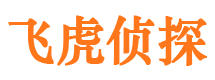 义马市调查公司